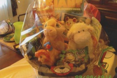 basket-raffle-2012163